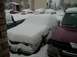 1993 Ford Bronco - Several vehicles are covered in snow in a parking lot, with one tan sedan prominently visible from the front.