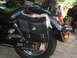 1998 Honda Shadow VT750C - Rear view of a motorcycle's fender and saddlebag, adorned with fur trim and a decorative cowbell.