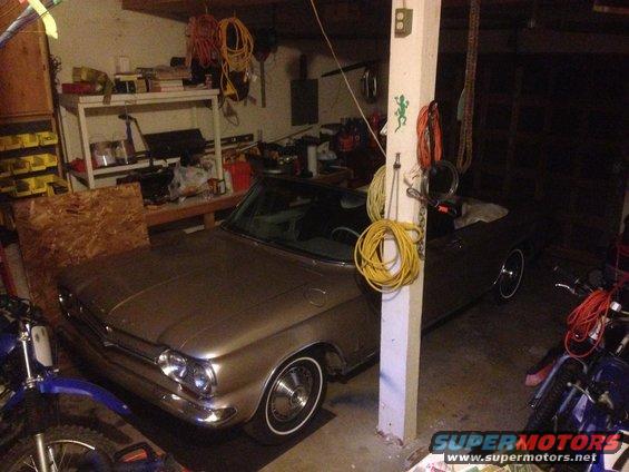 img_16051.jpg All cozy in its new home.