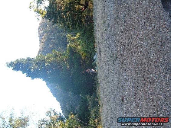 person standing in a grassy area with trees and a mountain in the background