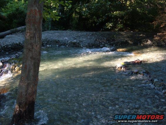 Tree trunk in foreground, river flowing over rocks with sunlight glinting on water. Trees and foliage in background