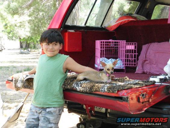 Boy stands next to open tailgate with chihuahua dog resting on blanket