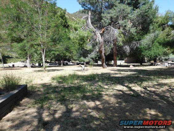 Campsite scene with trees, dry grass, and a distant person. Watermark reads SUPERMOTORS.NET