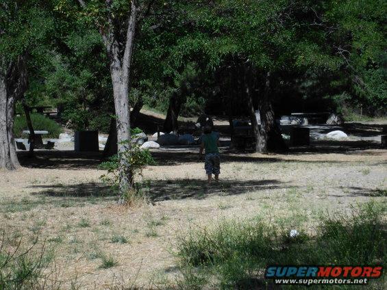 Person standing in a wooded picnic area with picnic tables and trash cans