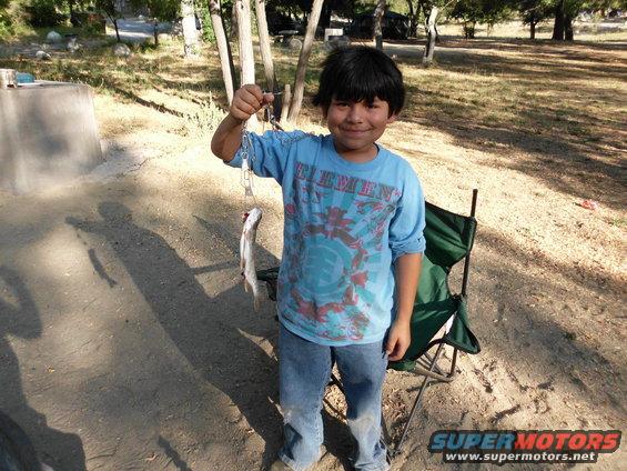 Boy holding a small fish on a chain, wearing a blue t-shirt and jeans, standing in a sandy area with trees
