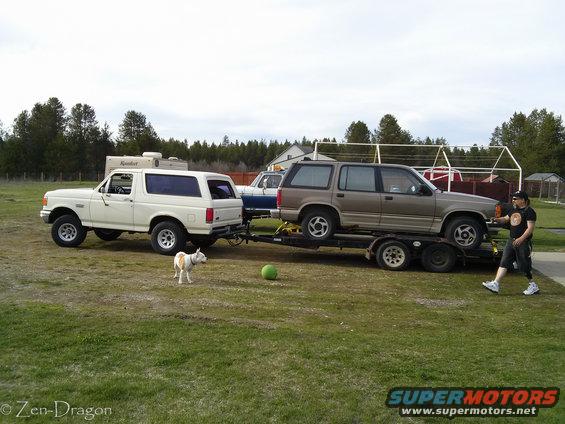 White 1992 Ford Bronco towing a trailer with a brown Ford Explorer on it. Dog stands in grass nearby