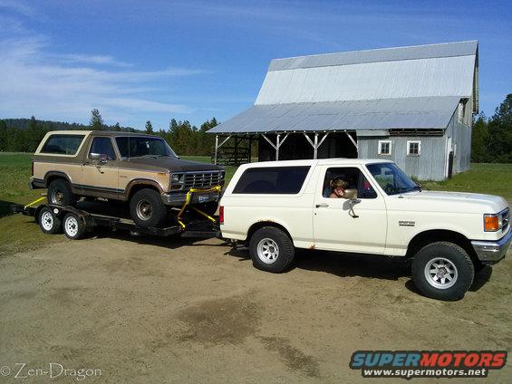 White Ford Bronco towing a tan Ford Bronco on a trailer in front of a barn