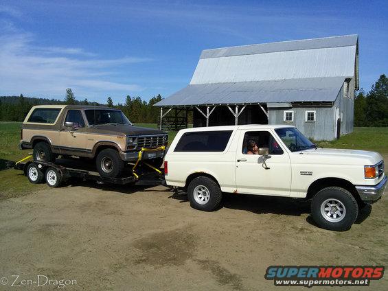 Tan 1980 Ford Bronco on trailer towed by white Ford Bronco, barn in background