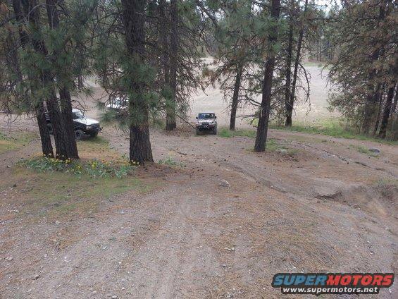 Two SUVs parked in a wooded area with pine trees