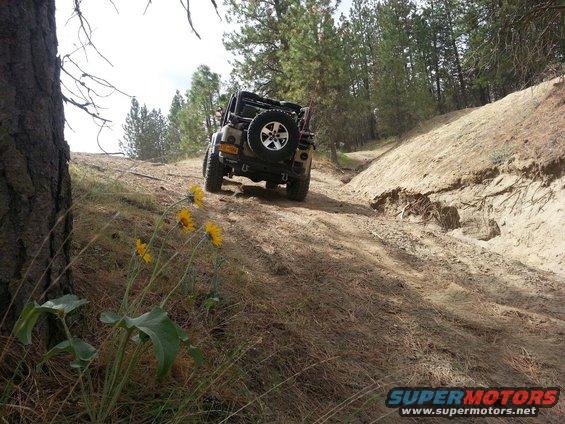Rear view of a 2005 Jeep Wrangler driving up a dirt hill with yellow flowers in the foreground