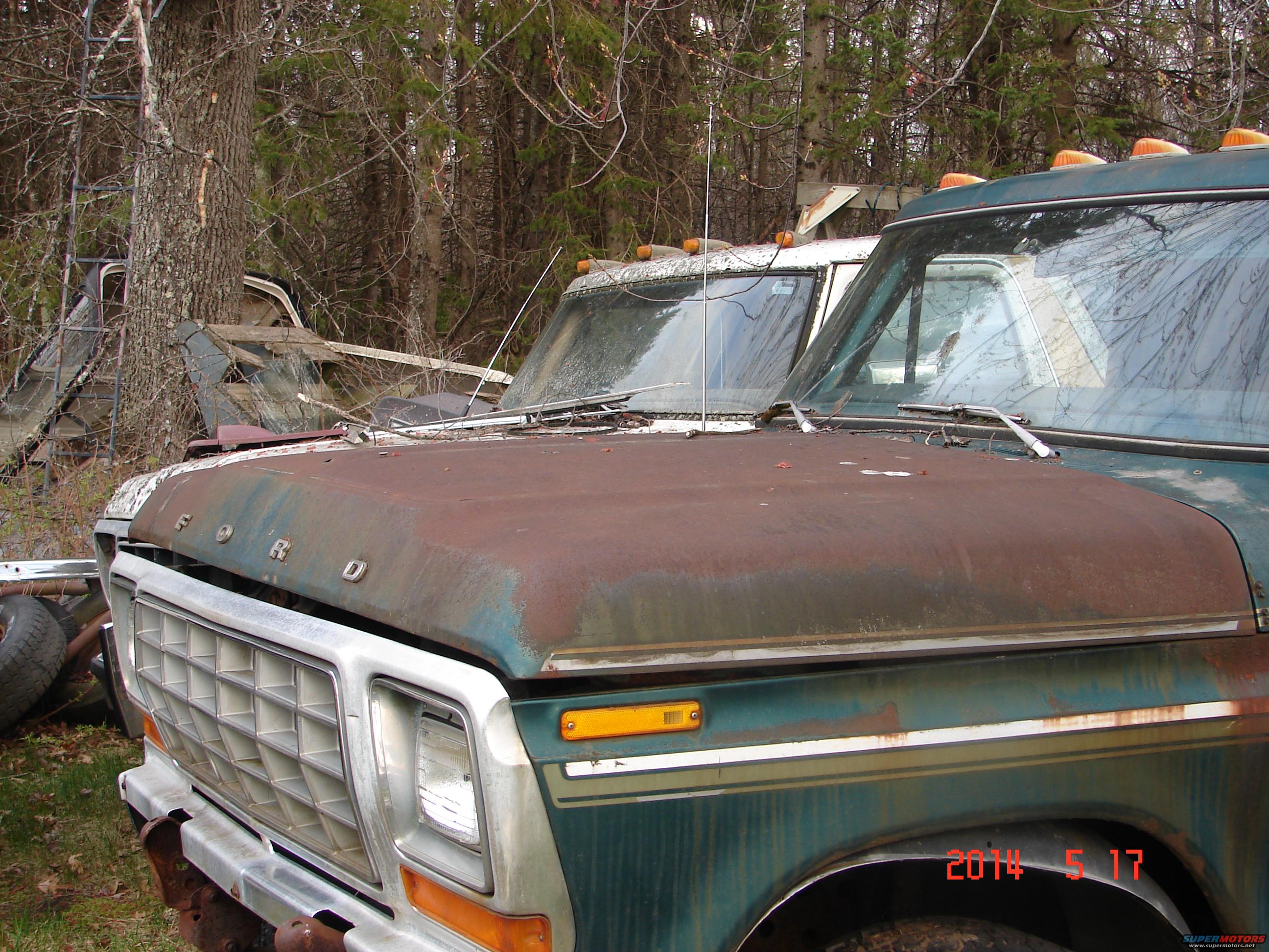 1978 Ford Bronco photo