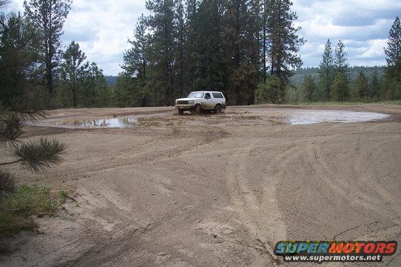 white SUV driving through a muddy area with puddles, surrounded by trees