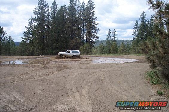 White SUV stuck in mud puddle, side view. Trees and dirt road in background