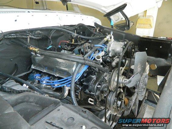Engine bay of a 1979 Ford Bronco with a V8 engine, chrome valve covers, and blue spark plug wires