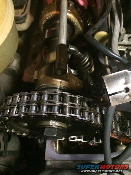 Engine timing chain and camshaft gear
