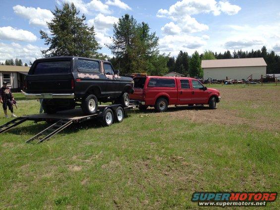 Black 1978 Ford Bronco on a trailer, showing rust spots on the body, viewed from the rear three-quarter angle