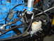 1992 Ford Bronco - Detail of engine components including hoses, filter, and brake master cylinder.