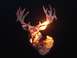 1978 Ford Bronco - A silhouette of a deer's head is illuminated from within by a fiery glow of burning wood.