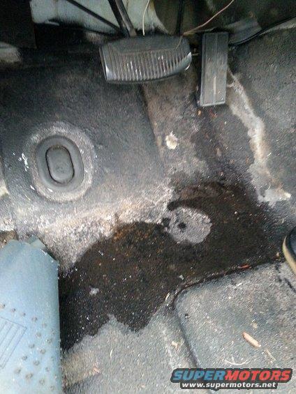 20140527_184140-(1).jpg still wet after the last application of seam sealer.