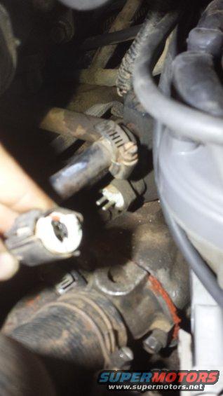 Engine hoses and electrical connector being held, with Supermotors.net logo at bottom