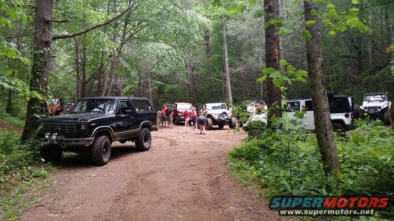 Black Bronco and several Jeeps parked on a dirt road in the woods