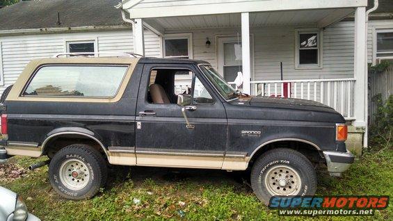 Dark blue and tan Ford Bronco parked on grass, side view