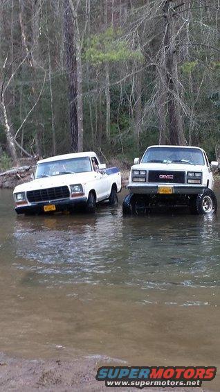 White Ford pickup and white GMC pickup driving through a creek in a wooded area