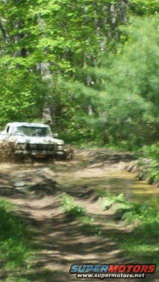 1979 Ford Bronco driving through a muddy trail with trees in the background