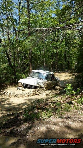 White Ford pickup stuck deep in mud on a wooded trail