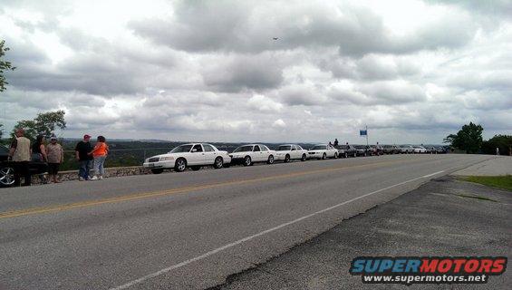 Several white Ford Crown Victoria Police Interceptors parked in a line on a road overlooking a valley