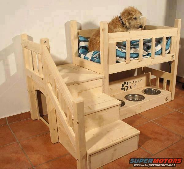 cool-dog-house.jpg 