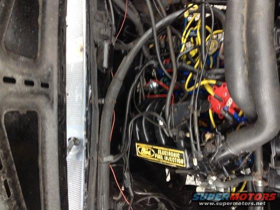 Engine bay with Ford Electronic Fuel Injection label, 1988
