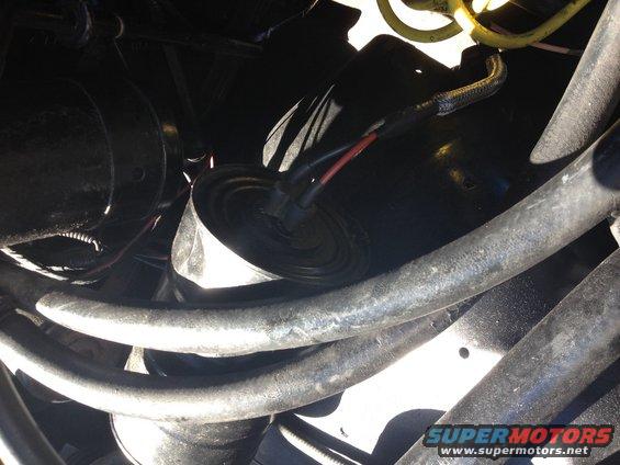 Engine bay hoses and electrical components