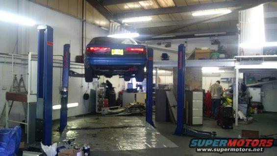 1994 Ford Thunderbird on a lift in a garage, rear view