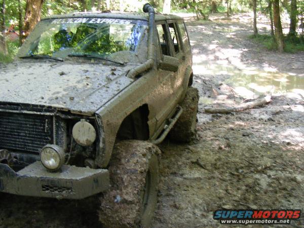 snorkel.jpg 