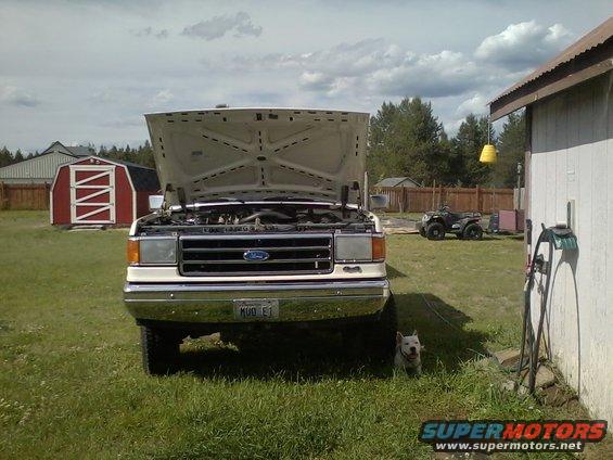 White Ford truck with hood open, parked in a grassy yard with a red barn and an ATV in the background