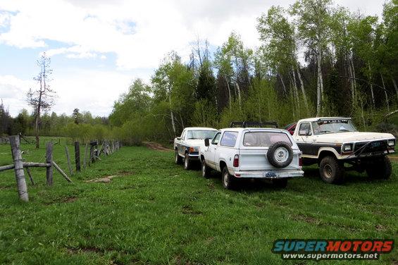 Three trucks parked in a grassy field with trees in the background