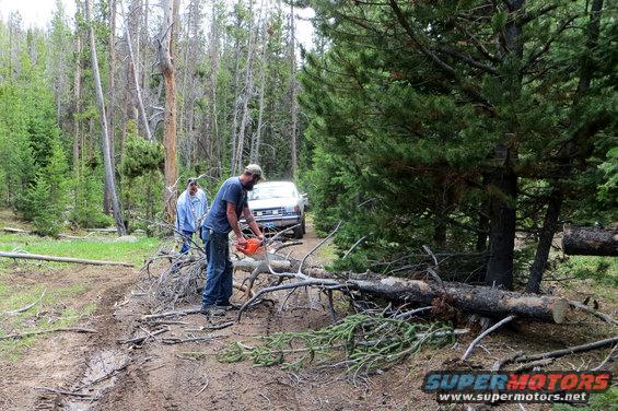 Two men clearing fallen trees from a dirt road with a chainsaw; a white SUV is visible in the background