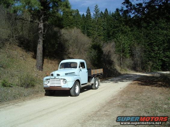 out in the woods of north Idaho