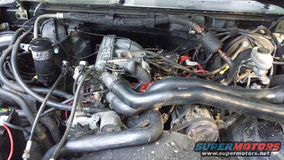 Engine bay with V8 engine components and hoses