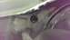 2000 Mercury Grand Marquis photo