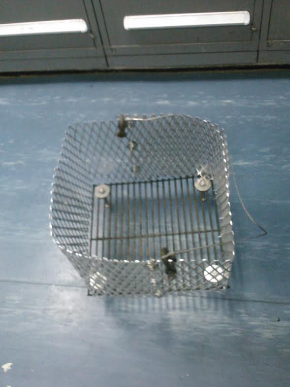 Wire basket with metal bars and mesh, sitting on a blue floor