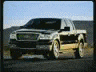 1981 Ford Bronco photo