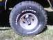 1979 Ford Bronco - A close-up view of a large off-road tire and custom wheel, 'Radial Mudder Buckshot' branding.
