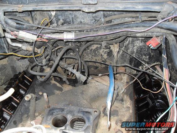 Engine bay with wiring and hoses visible