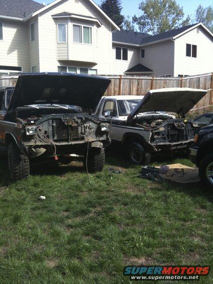 Brown and white SUVs with hoods open in a yard
