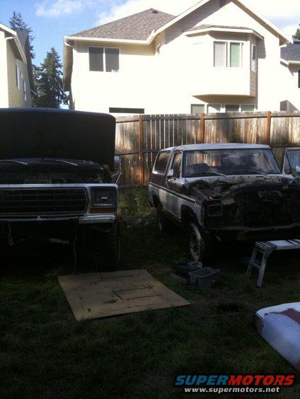 Two Ford Broncos, one with hood open, parked in a grassy yard. The Bronco on the right appears to be a 1978 model