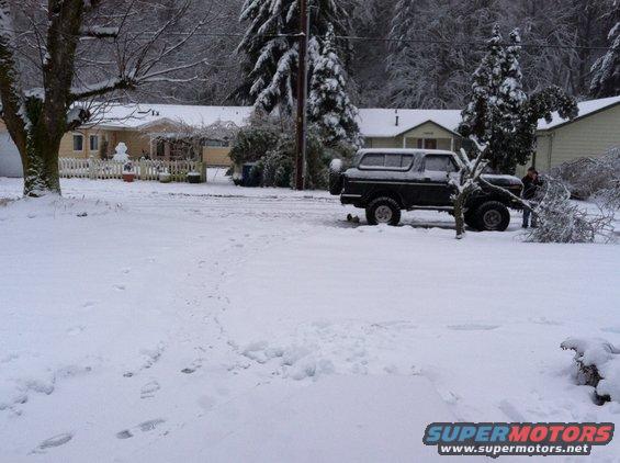 Black 1978 Ford Bronco parked in a snowy yard with a person near a fallen tree branch