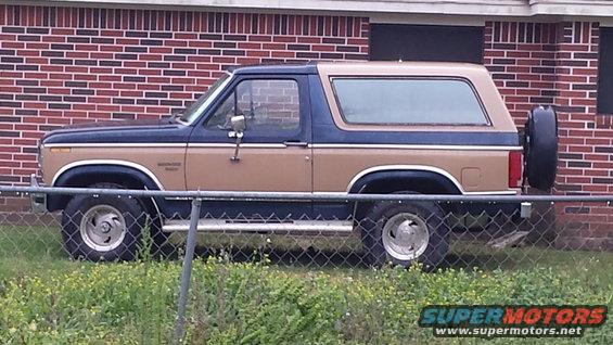 Still in the neighbors yard.