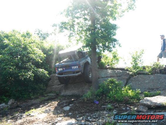 Blue Ford Bronco climbing rocks next to a tree. 'BRONCO' and 'FORD' visible on tailgate